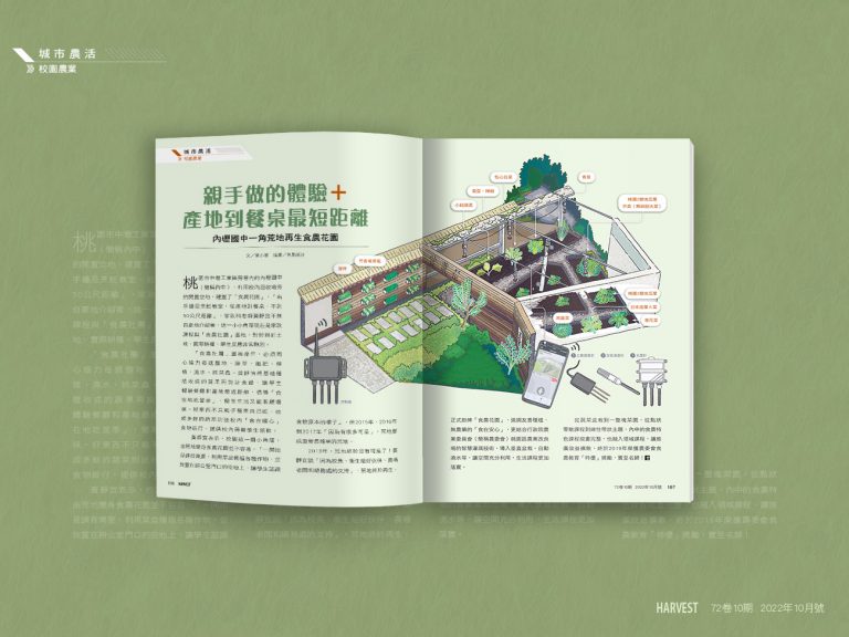 豐年雜誌 插畫 食農 安全 種植